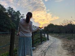 -南国桃园旅游度假区