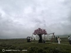 -新疆那拉提国家旅游度假区