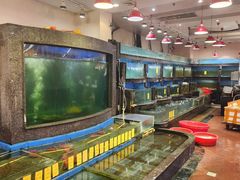 -新梅园不夜粥(龙华店)