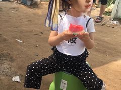 -庞各庄西瓜蔬菜采摘园·锦华瓜园