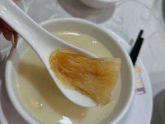 鸡煲特大鲍翅-凤城礼记鱼翅海鲜酒家(新马路总店)