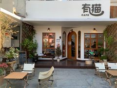 -有猫主题·治愈系猫咖(曾厝垵店)