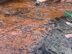 -武汉姚家山旅游景区