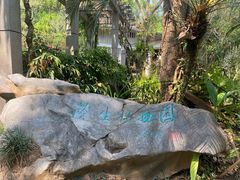 -中国科学院西双版纳热带植物园