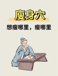 -Fundi张玉珊修身堂·indiba·BTL科技瘦身