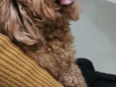 -惠康宠物医院(华能路店)