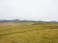 -郭莽湿地