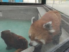 -银川动物园