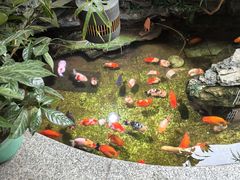-佛有缘·32年老字号(广州首店)