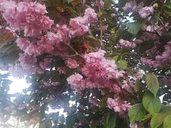 -三点小吃(山大店)