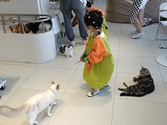 -怪兽屋·羊驼·猫咖·狗咖(俊华广场店)