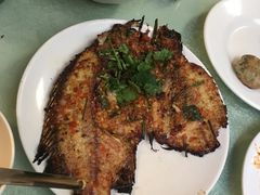 -朱家花园食府(顺城王府井店)