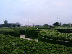 -莫子山公园