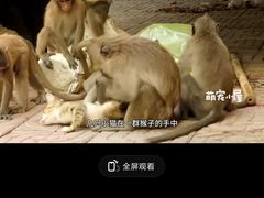 -昆明动物园