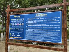 -大兴滨河森林公园