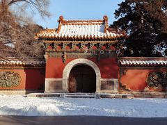 -北陵公园