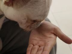 -怪兽屋·羊驼·猫咖·狗咖(俊华广场店)