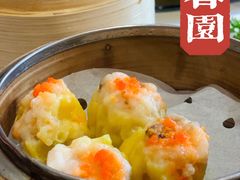 -詠春园