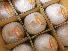 -西郊国际农产品交易中心