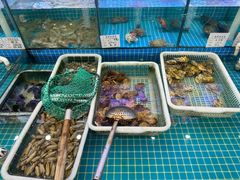 -萃华海鲜阁大排档(五四广场店)
