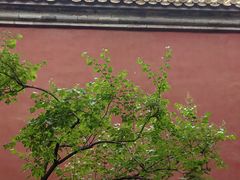 -北京市劳动人民文化宫(太庙)