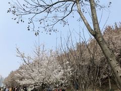 -西安青龙寺遗址景区