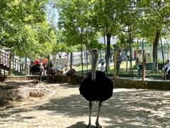 -武汉紫薇都市田园