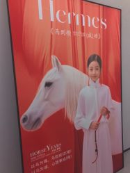 -大树儿童摄影