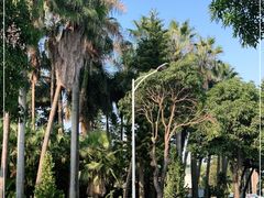 -白鹭洲公园