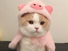 -清真铁志明腊牛羊肉