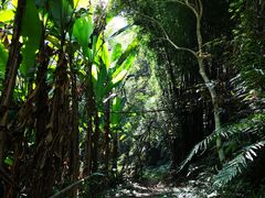 -韶关经律论国际酒店温泉