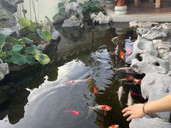 -道南書院·私房菜·早午茶·茶馆