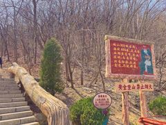 -金龙寺国家森林公园