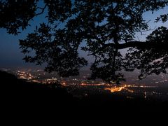 -紫金山山顶公园