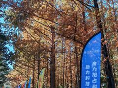 -国家植物园南园