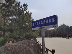 -沈阳鸟岛