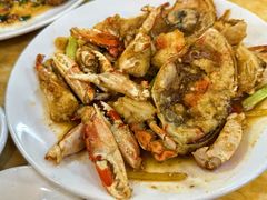 -金砂阿洲鱼册店