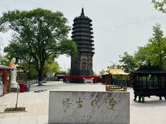 -高尔山公园