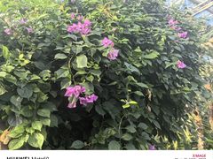 -北京植物园-展览温室