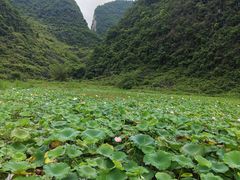 -靖西鹅泉风景区