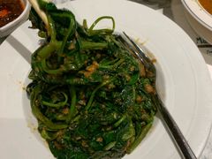 -关夫人餐厅(阳光广场店)