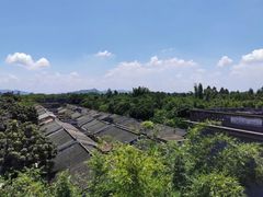 -开平碉楼文化旅游区马降龙景区