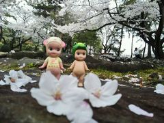 -名古屋城