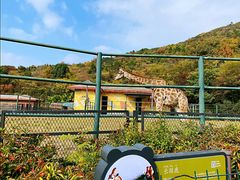 -无锡动物园·太湖欢乐园