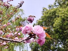 -范蠡湖公园