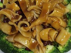 -顺德了能馆(虎门店)