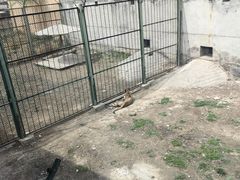 -新疆天山野生动物园