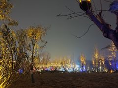 -三圣花乡旅游区