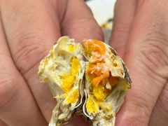 -禾斗海鲜自助(市南银座店)