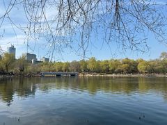 -长春市南湖公园